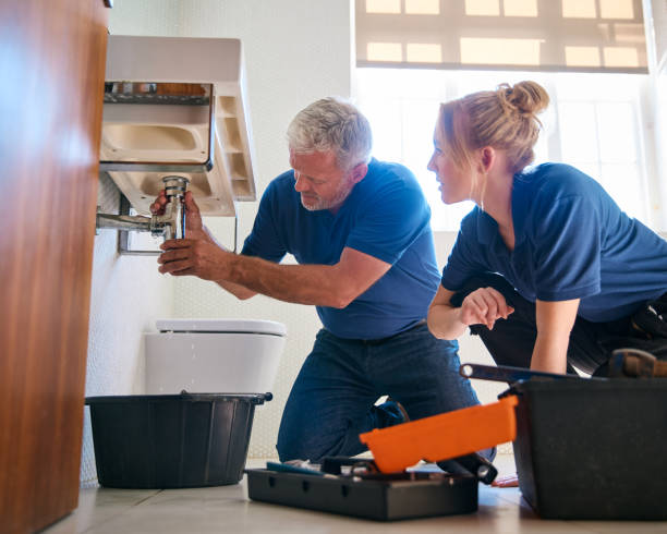 Best Clogged Drain Plumber  in The Hills, NJ